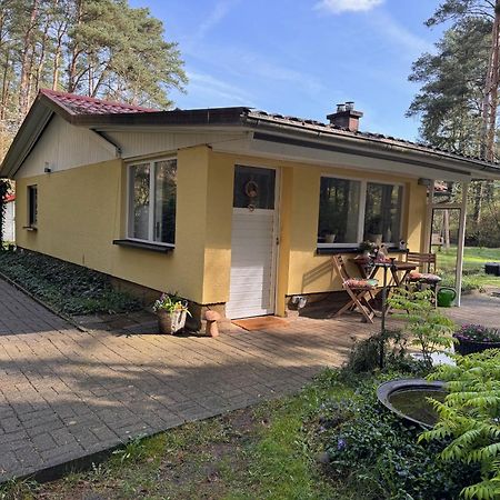 Ferienhaus Im Wald Borkwalde 外观 照片