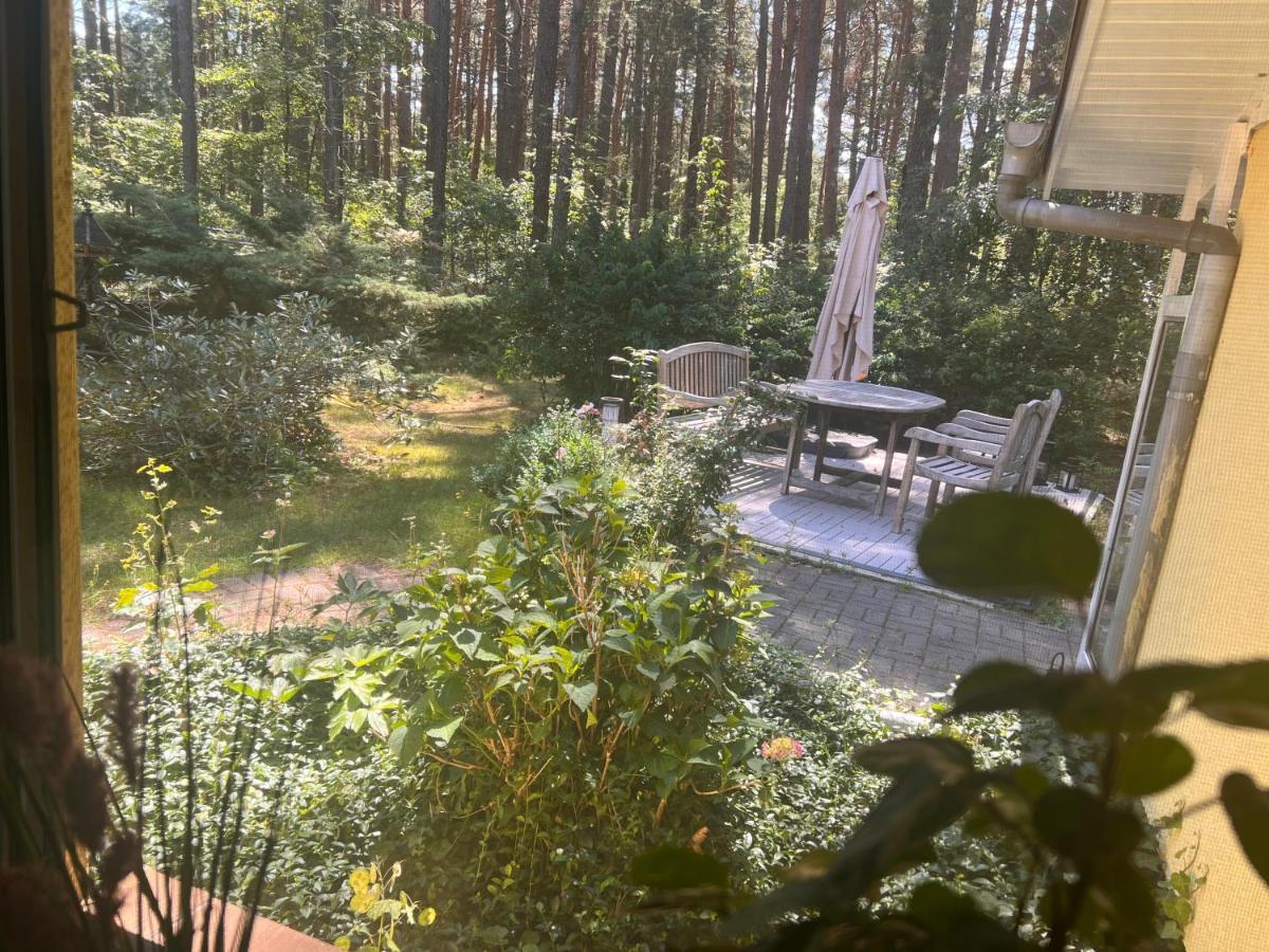 Ferienhaus Im Wald Borkwalde 外观 照片