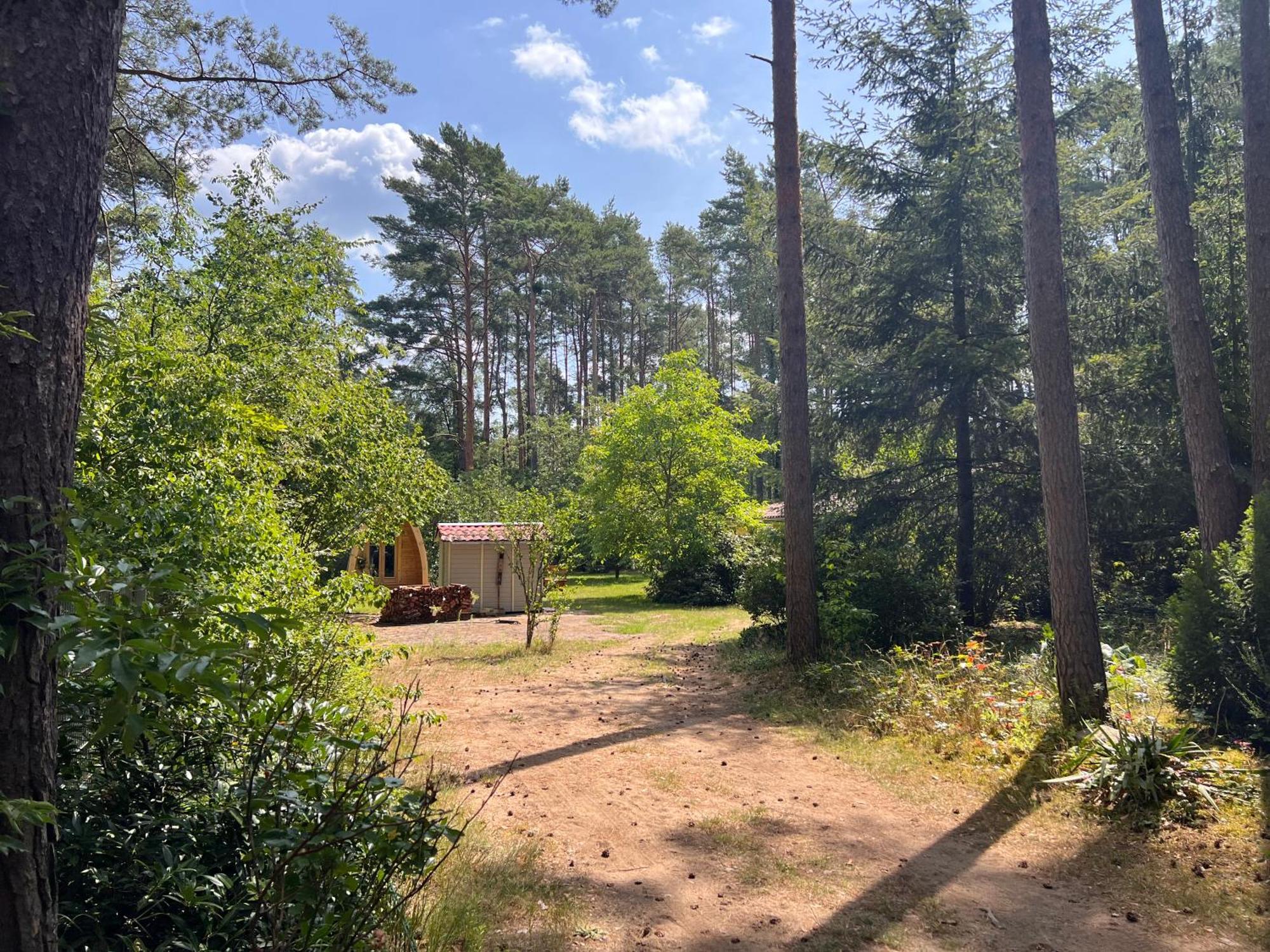 Ferienhaus Im Wald Borkwalde 外观 照片