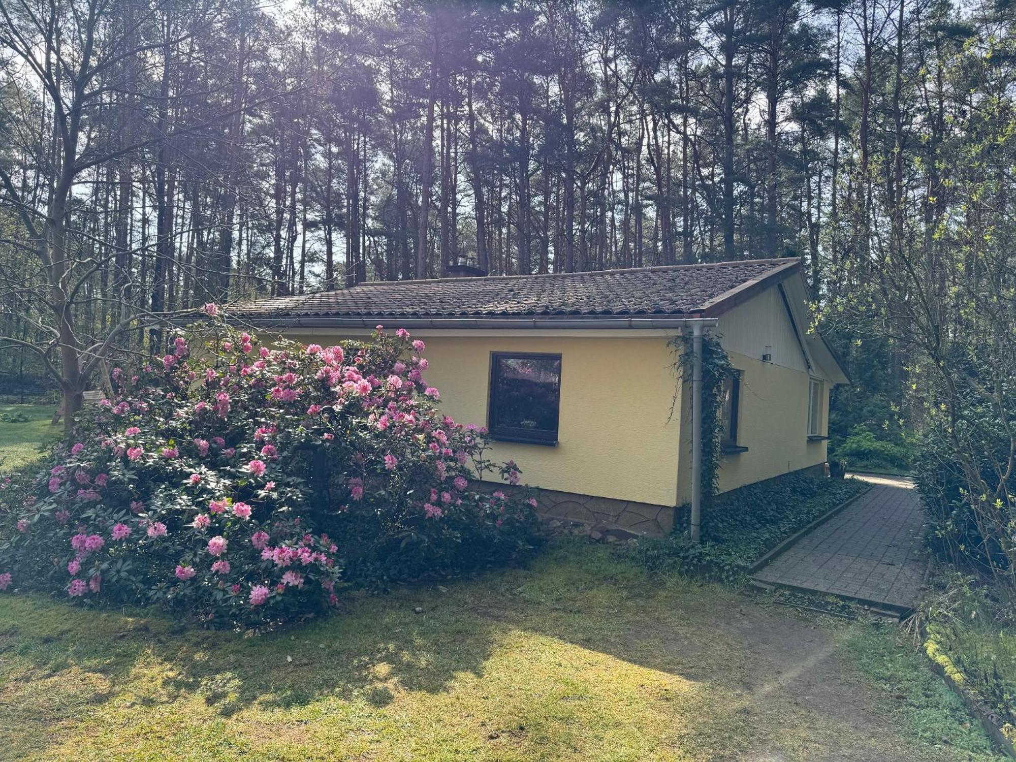 Ferienhaus Im Wald Borkwalde 外观 照片