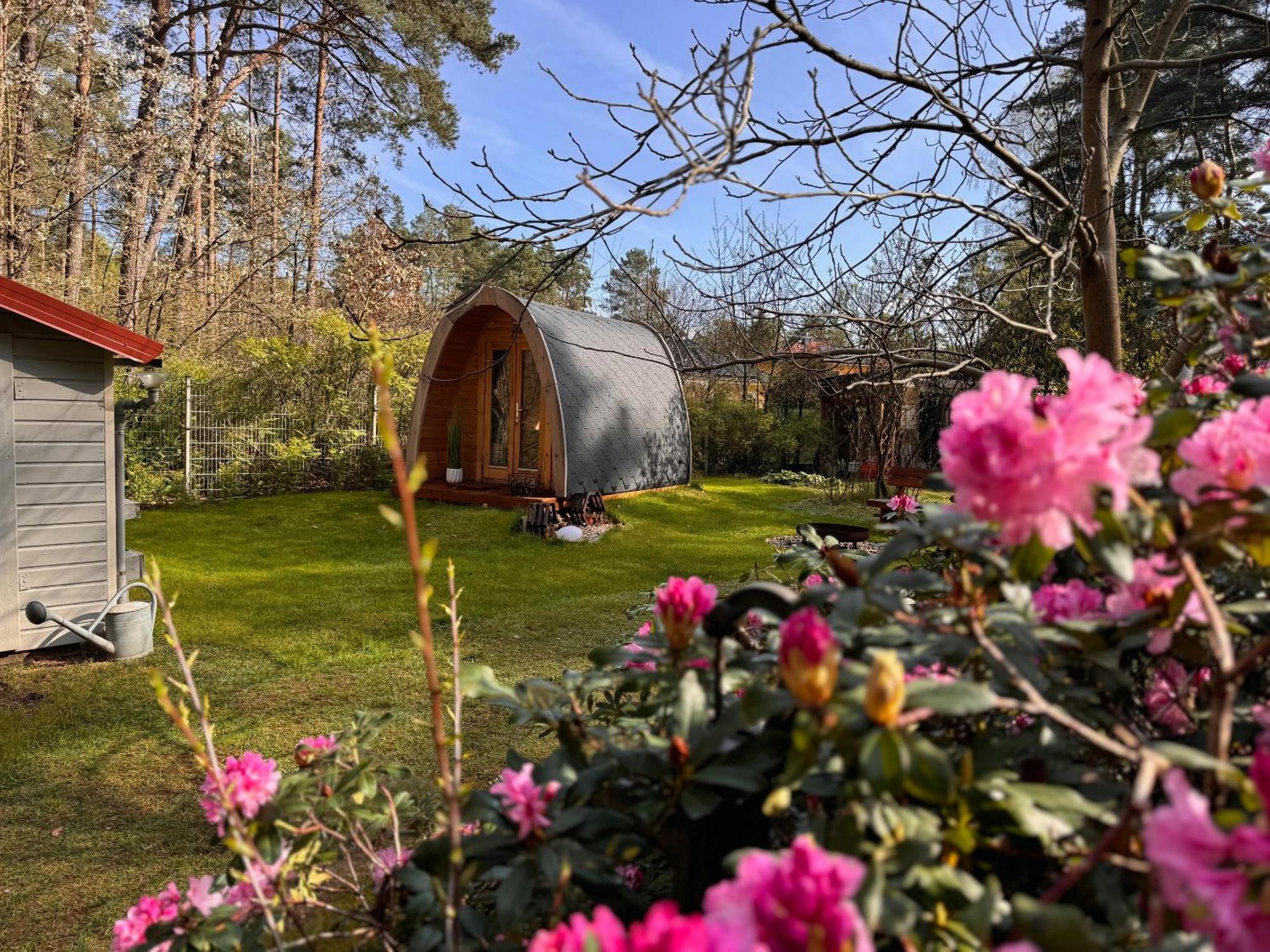 Ferienhaus Im Wald Borkwalde 外观 照片