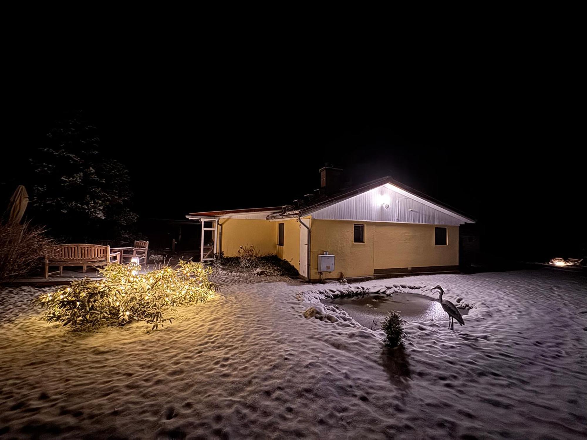 Ferienhaus Im Wald Borkwalde 外观 照片